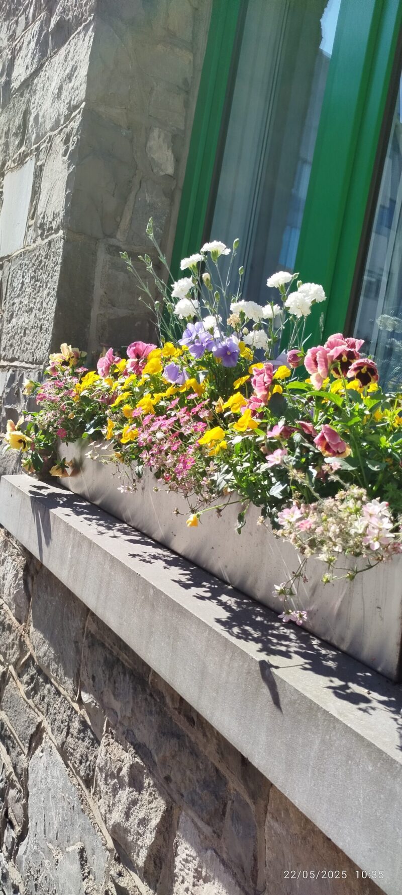 City nature