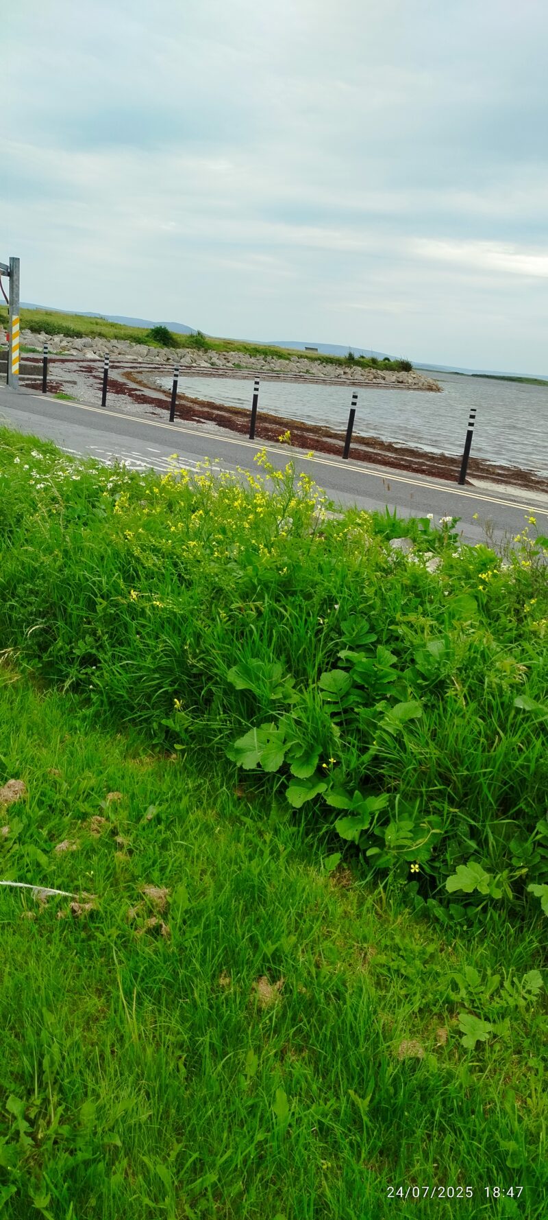 Bay view 1 - Image 2