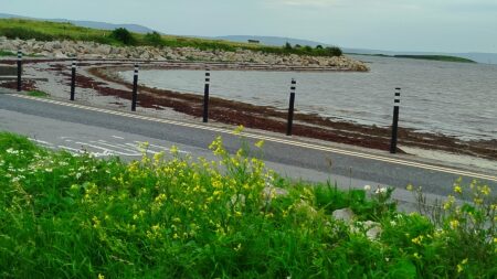 Bay view 1