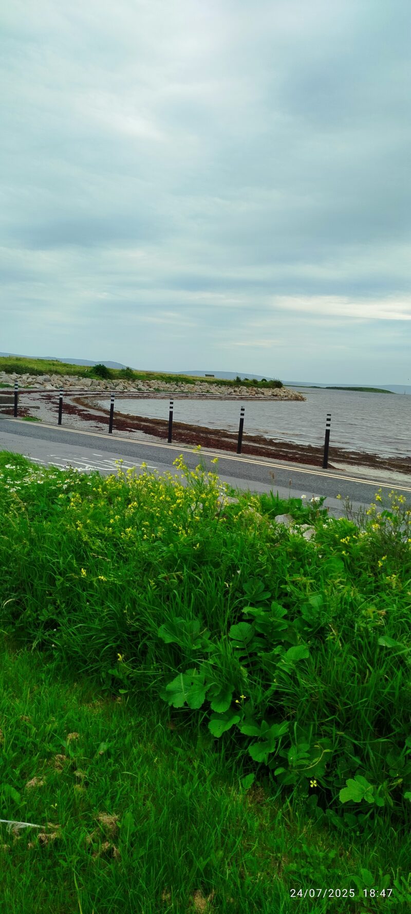Bay view 1