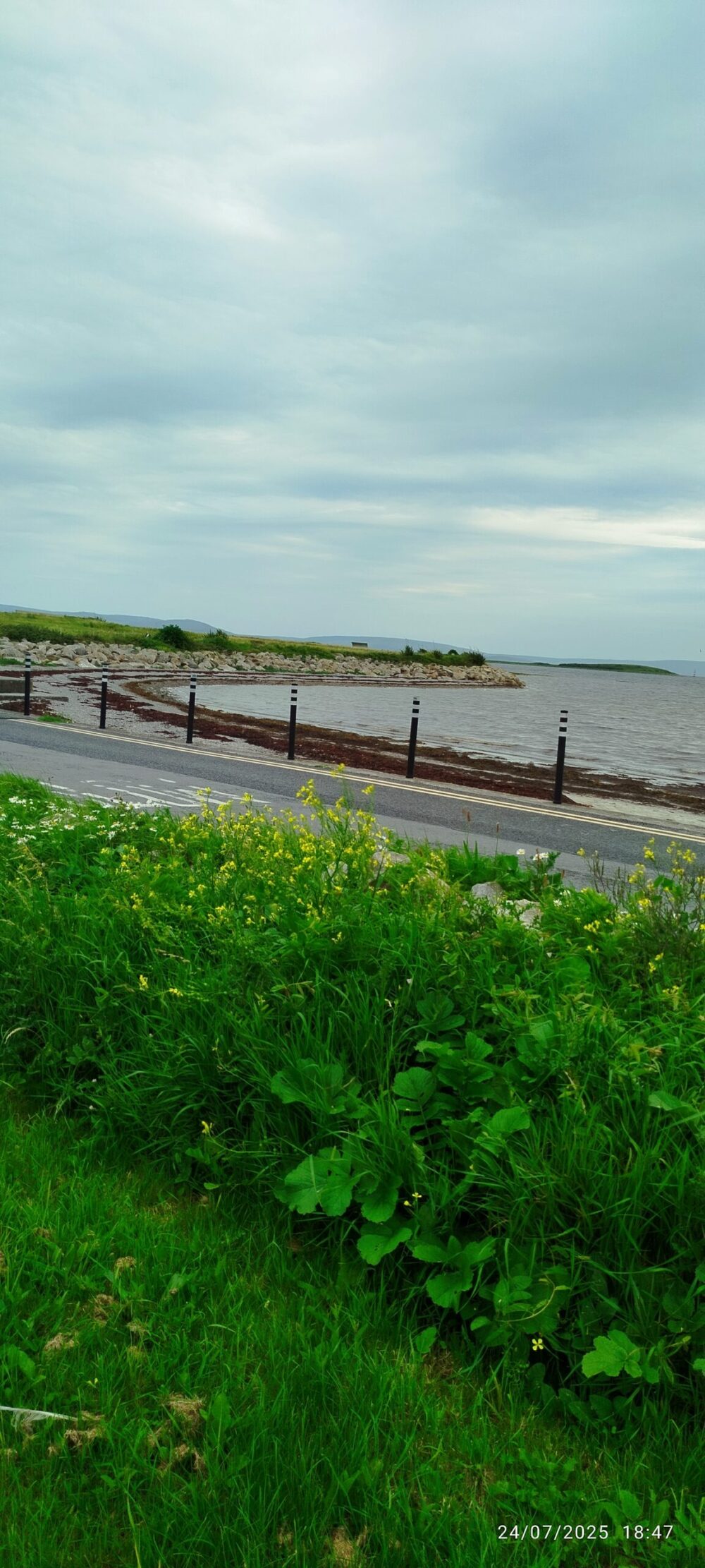 Bay view 1