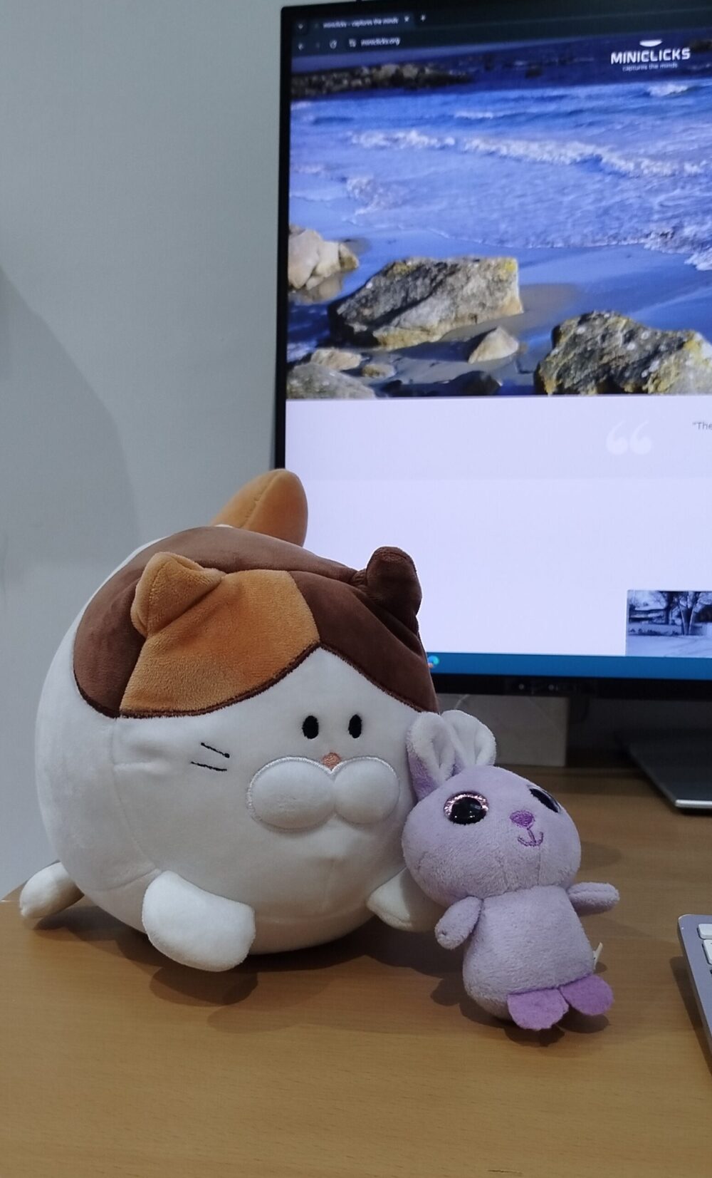 Kitty&bunny