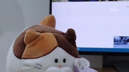 Kitty&bunny