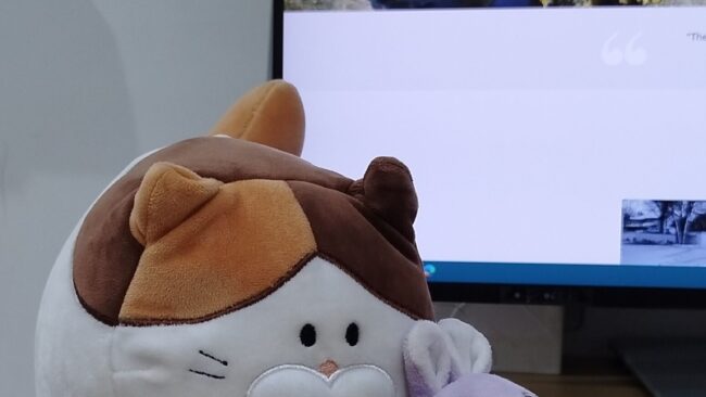 Kitty&bunny