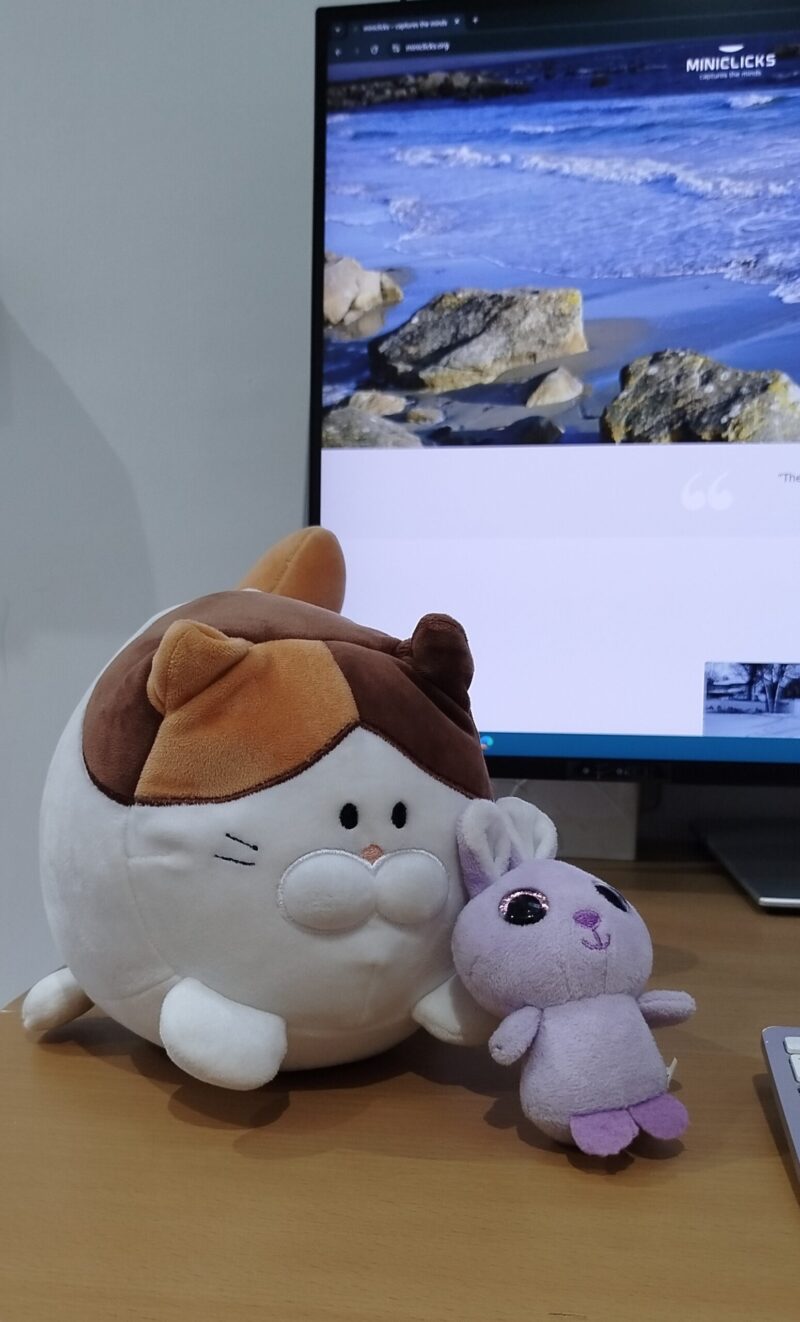 Kitty&bunny
