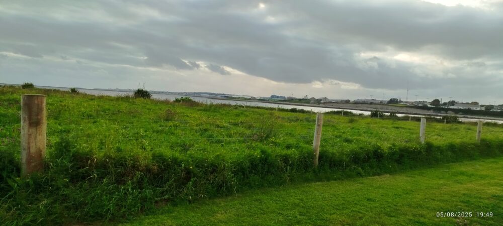 Nature - Image 2