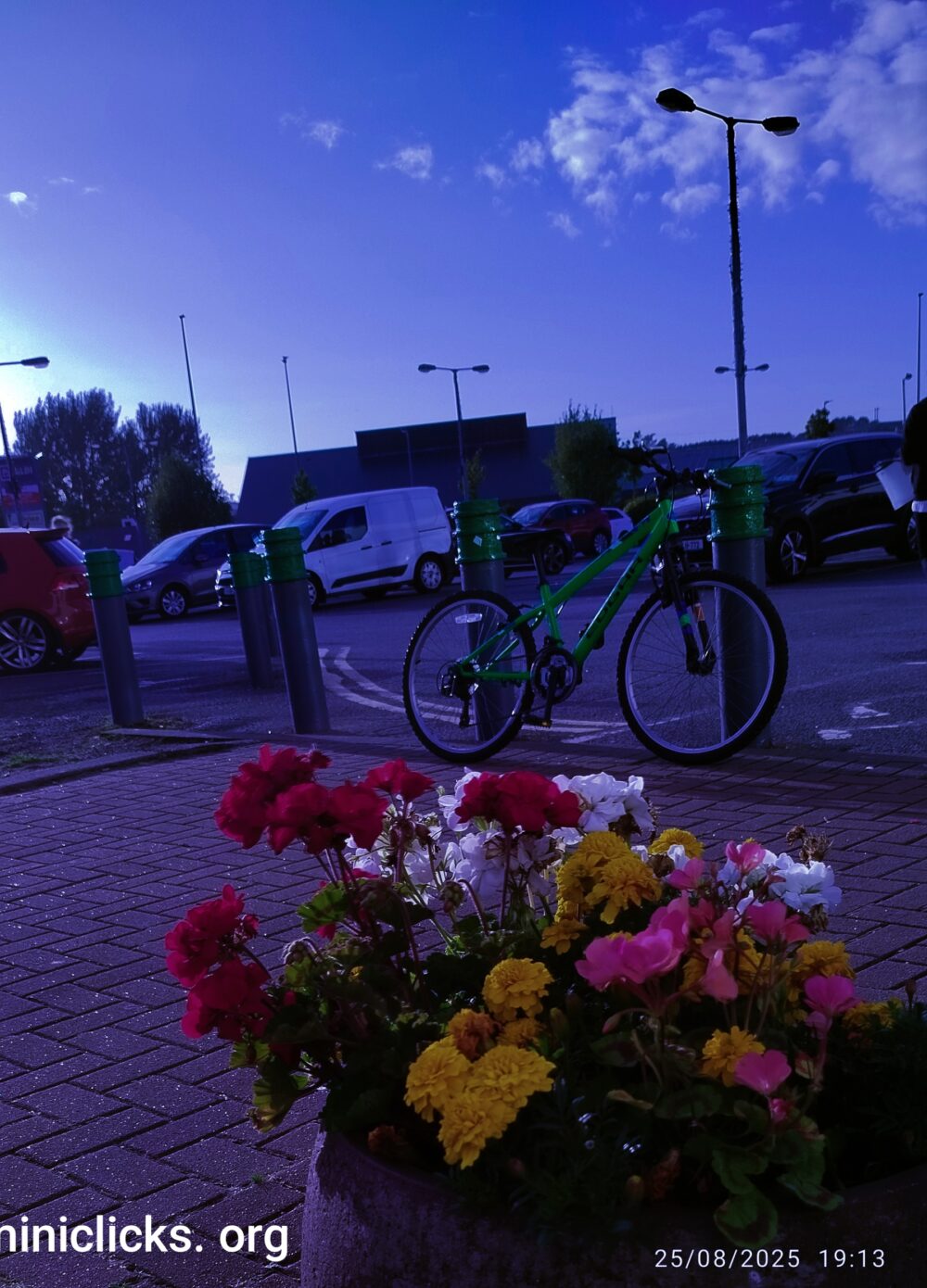 Flower - Image 2