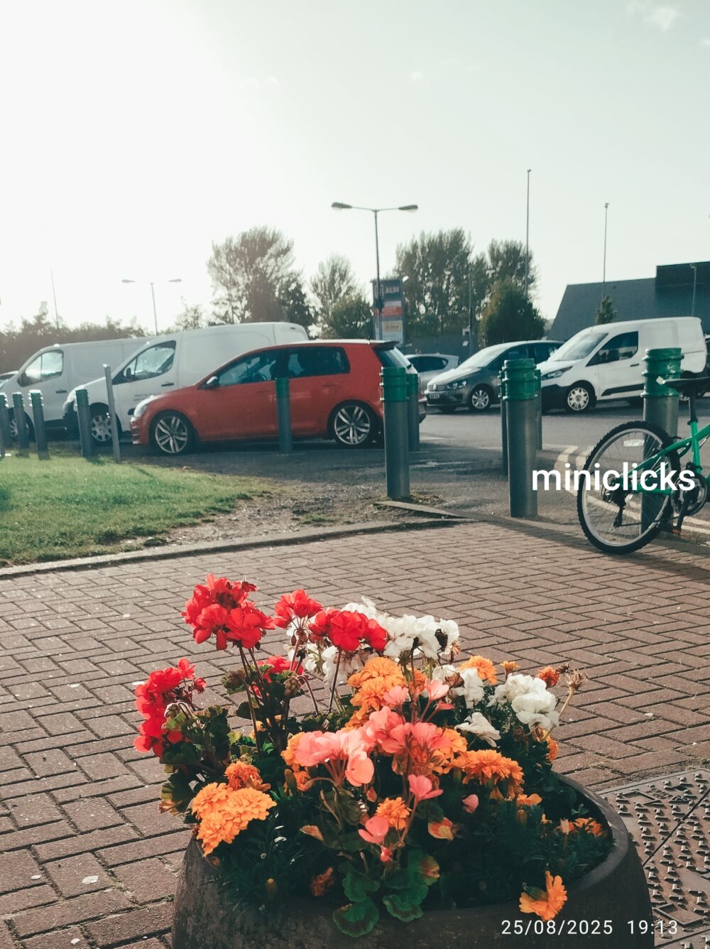 Flower