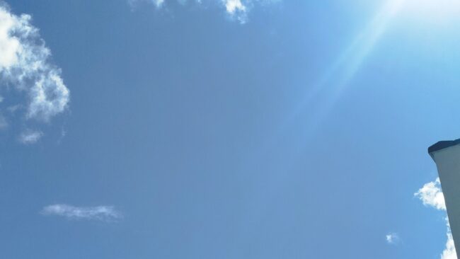 Sunnyday