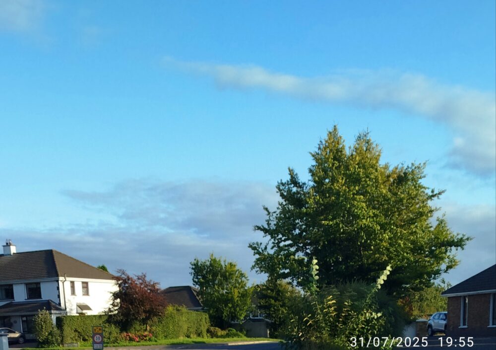 Blue sky