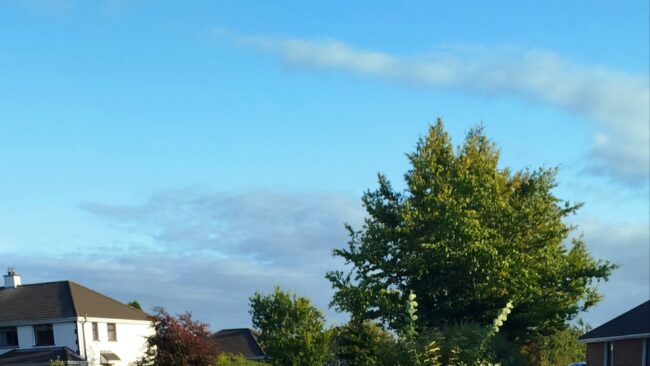 Blue sky