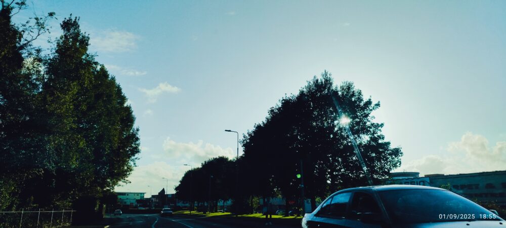 Nature of night - Image 2