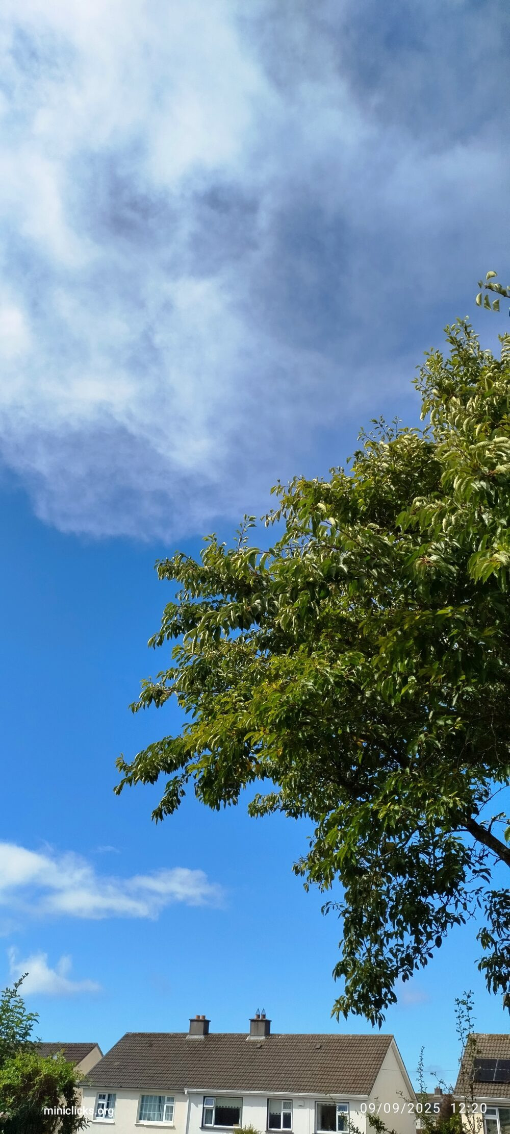 Sky view - Image 2