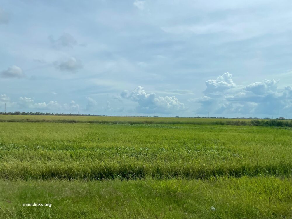 Nature - Image 2