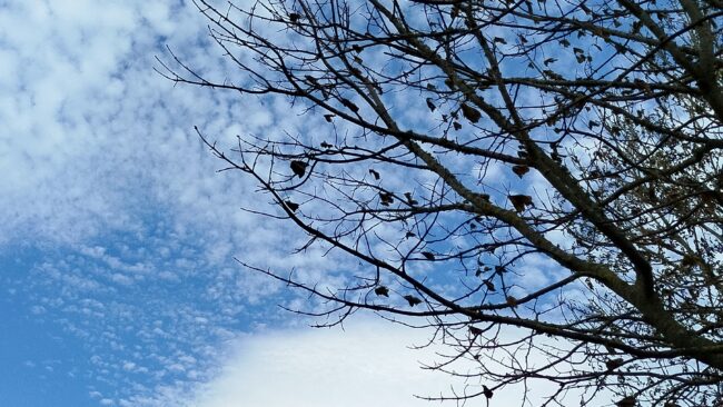 Beautiful Sky and nature