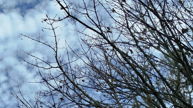 Beautiful Sky and nature