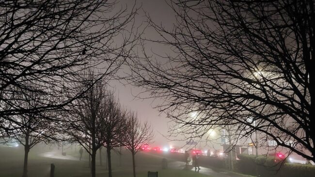 Foggy evening