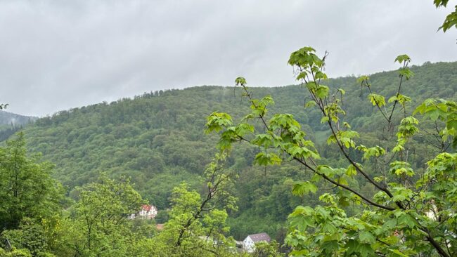 Nature